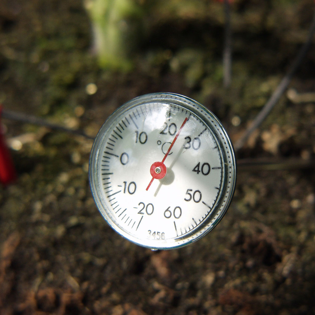 Vitavia Erdthermometer für Gewächshäuser