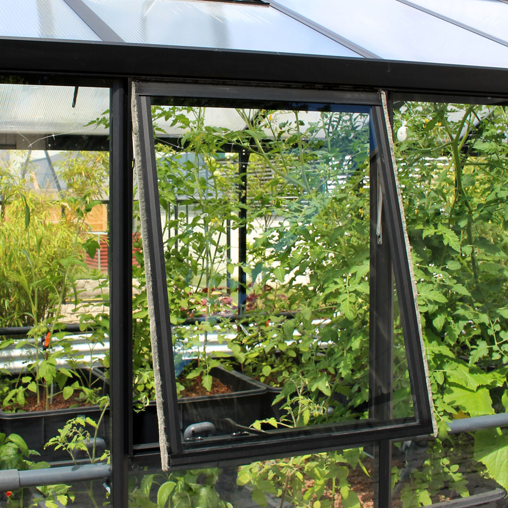 Vitavia Seitenfenster Z für Vitavia Gewächshäuser