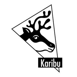 Karibu Pultdach Gartenhaus Radeburg 5 mit Terrasse und Fussboden